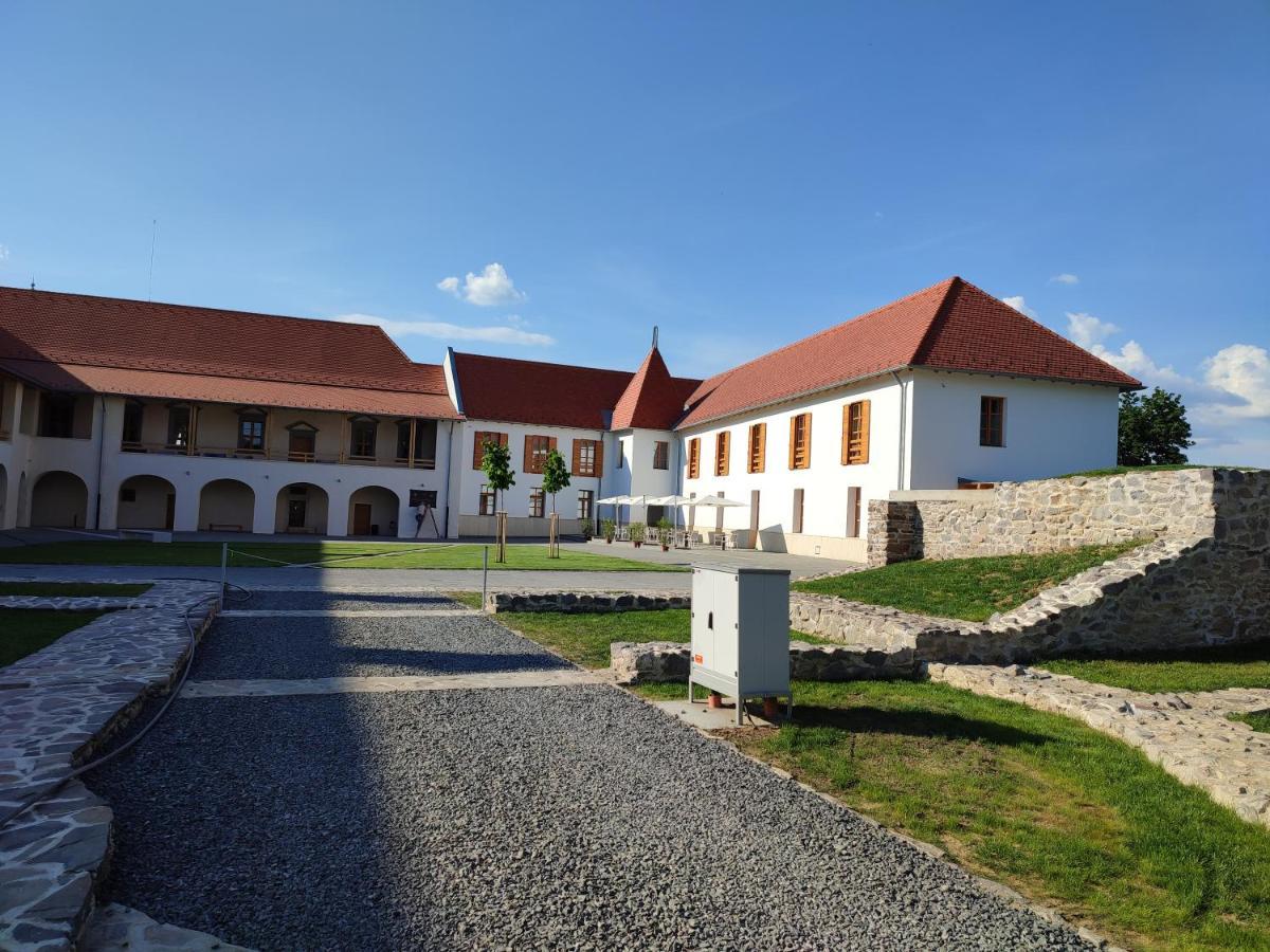Brigaderos Hotel Brigadir Borsi Zewnętrze zdjęcie